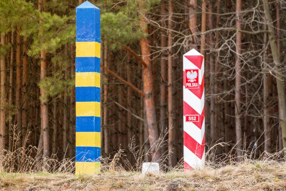 fot. Shutterstock